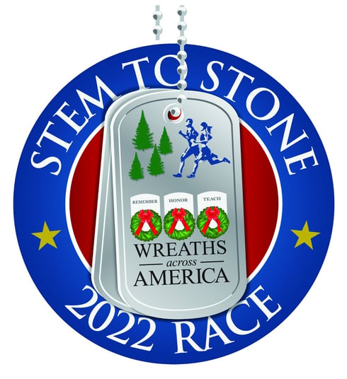 stemtostone2022